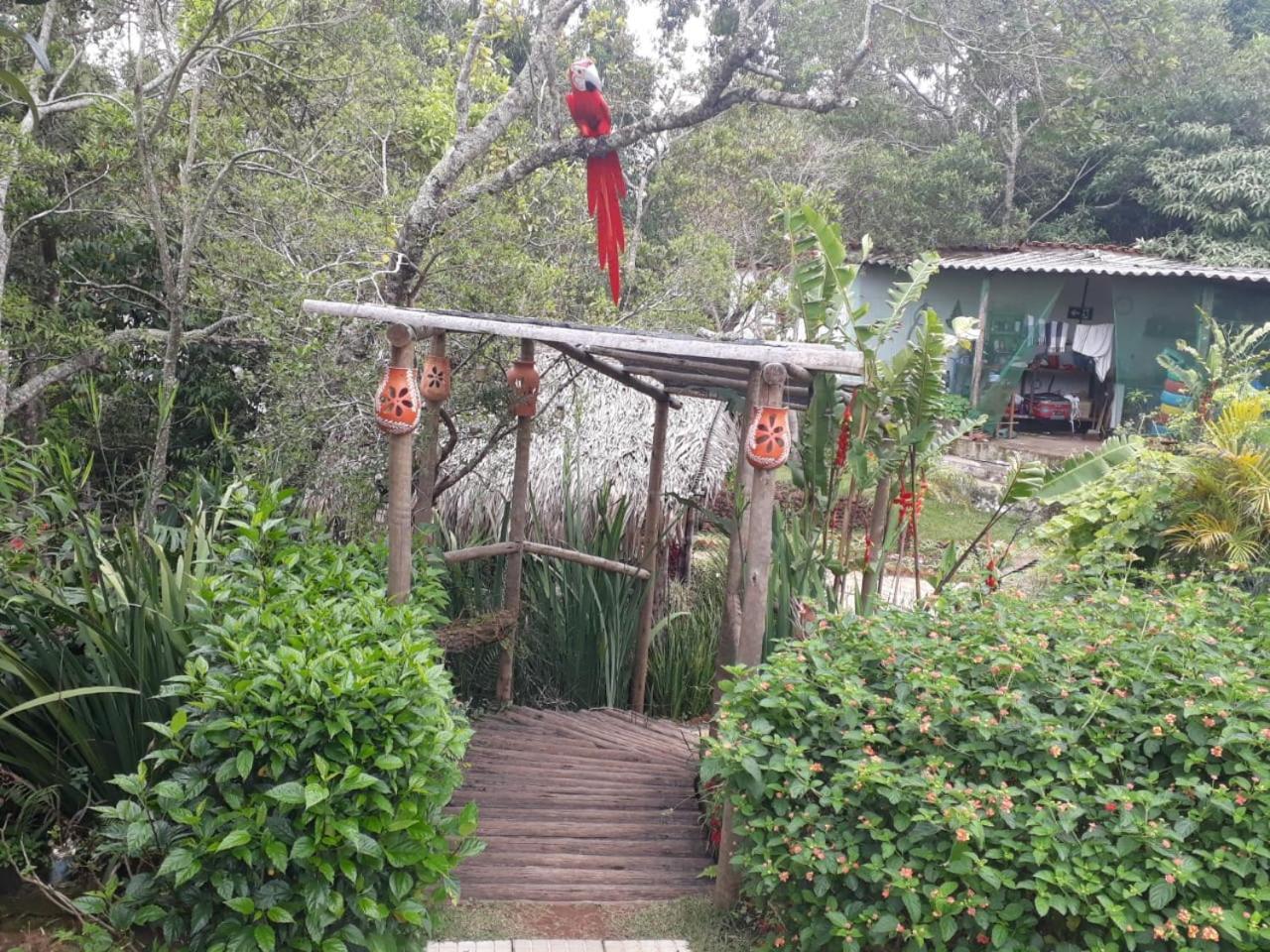Pousada Do Guinda Diamantina -Mg エクステリア 写真
